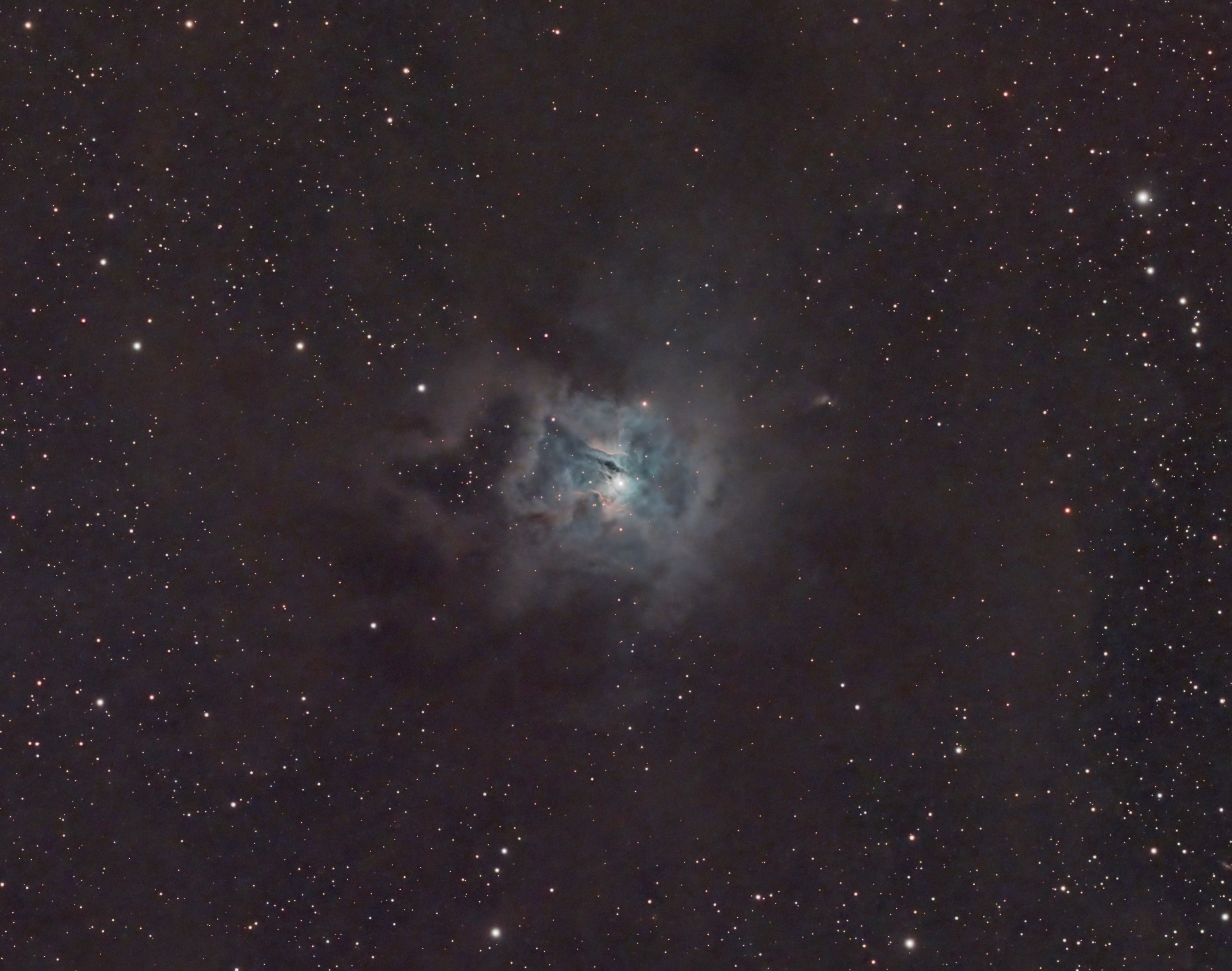 The Iris Nebula, NGC 7023